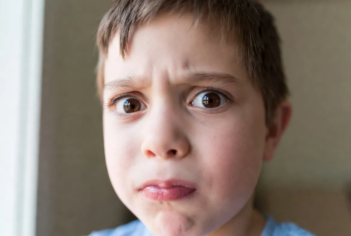 Mèo sợ hãi ngày Tết