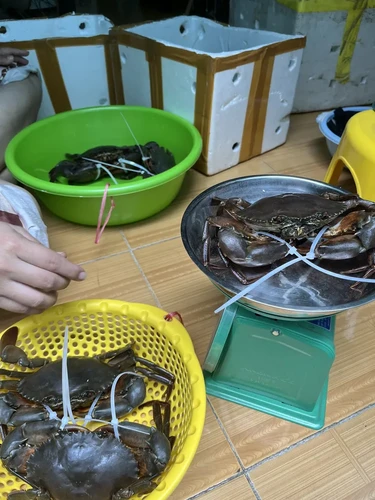 Combo 2kg Cua Gạch (Siêu Hời)