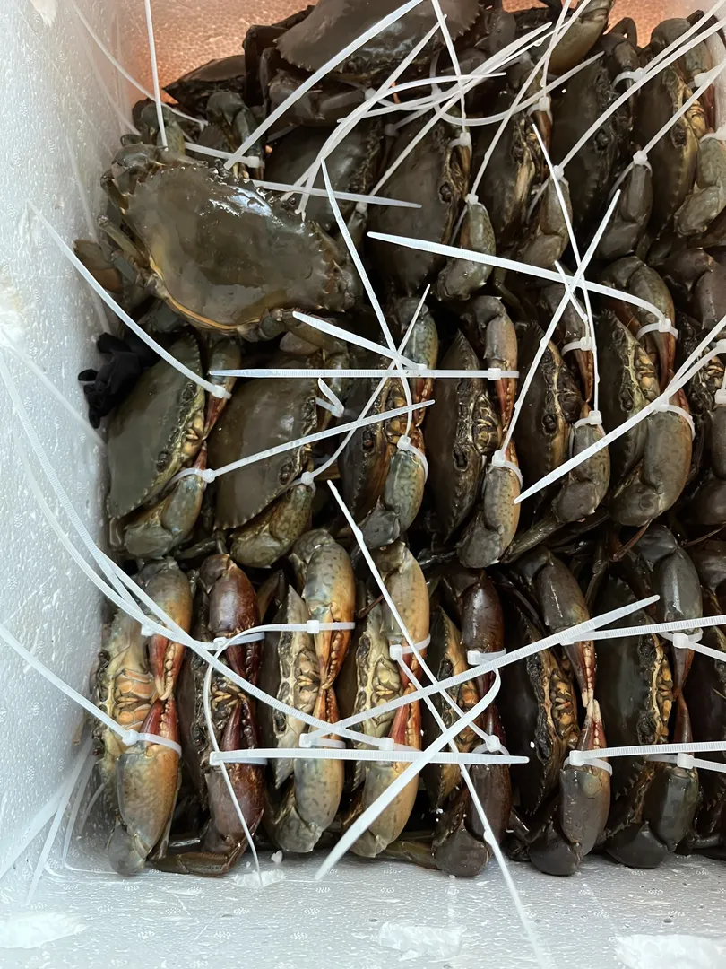 Chiến thần biển cả