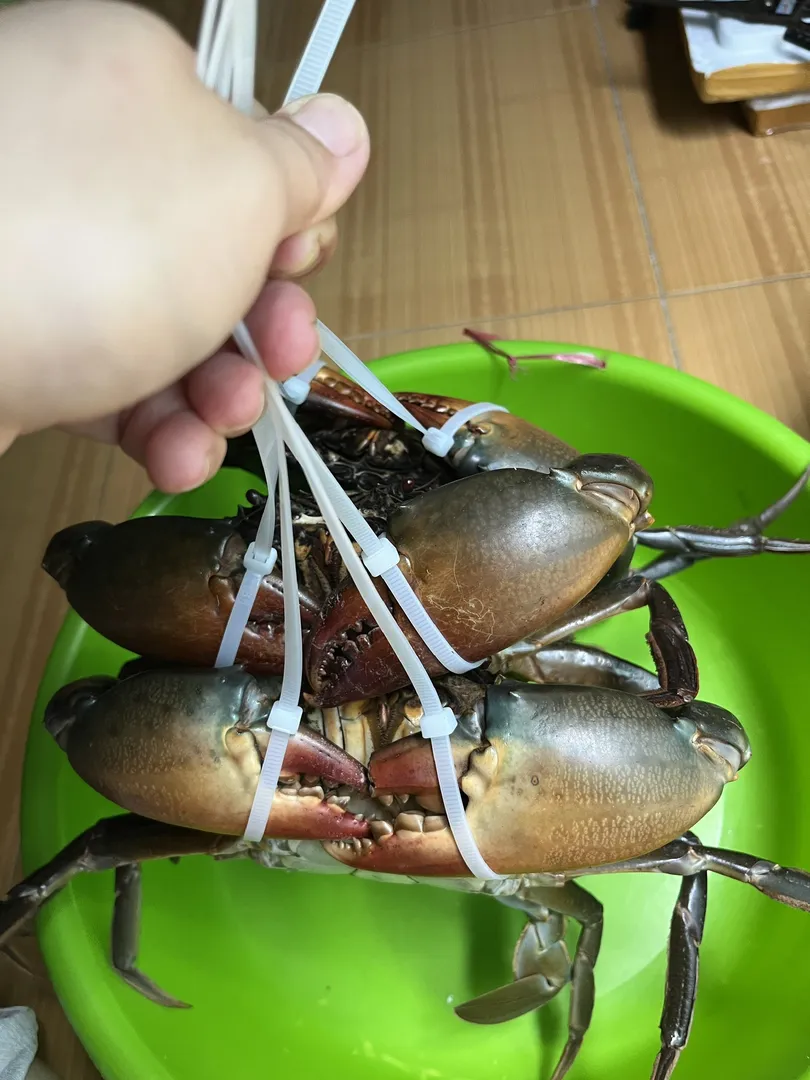 Cua Y Nhất (Hàng Khủng)