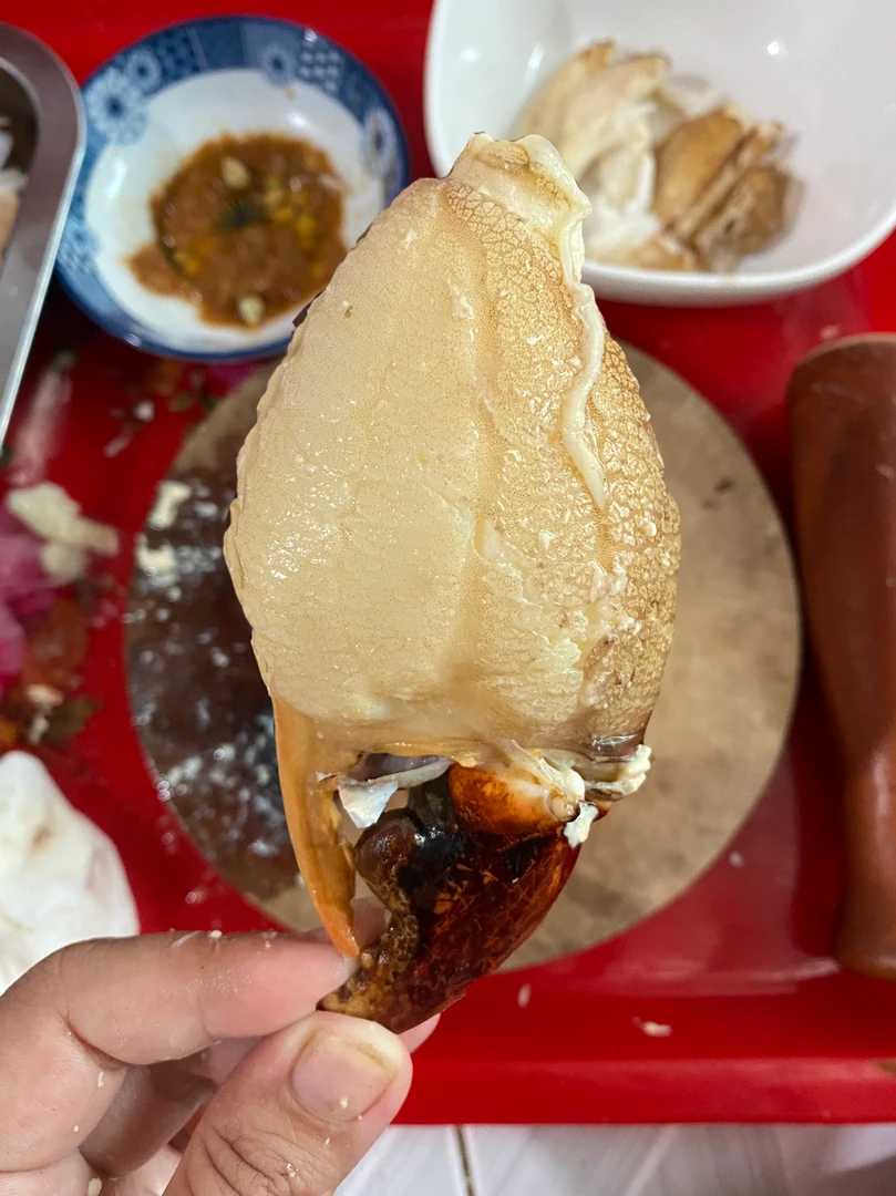 Cua Thịt Y (Size Lớn) - 1