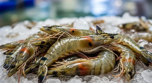 Why Do Shrimp Heads Turn Black? Is it Safe to Eat?