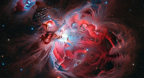 Crabs in Space? The Crab Nebula