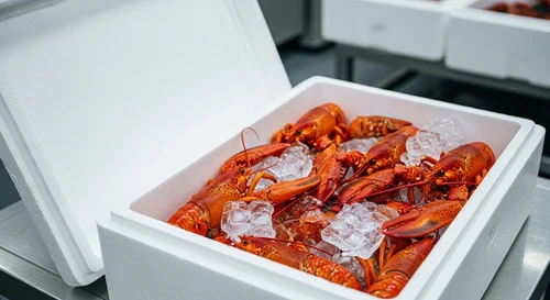 Bảo Quản Tôm Càng Xanh Tươi Sống Nguyên Oxy Vận Chuyển Đi Tỉnh Xa