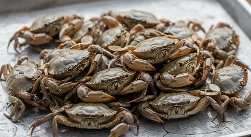 Falling for the 500k VND/kg King Crab Scam on Facebook