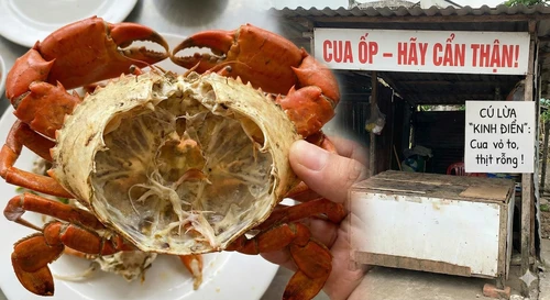 Cảnh báo khẩn: 'Ma trận' cua kém chất lượng đội lốt Cua Cà Mau