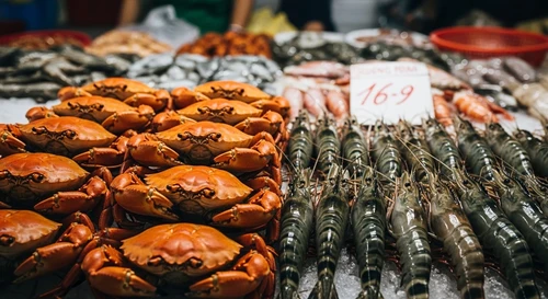 Lunar New Year (Tet) Price Forecast for Premium Seafood