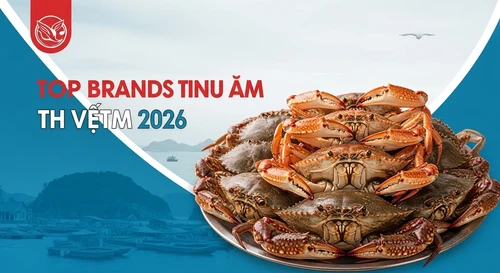 Bảng Xếp Hạng Top 5 Thương Hiệu Cua Biển Uy Tín Nhất Việt Nam 2026