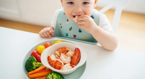 Trẻ Nhỏ Dưới 2 Tuổi Ăn Tôm Hùm Có Bị Dư Thừa Đạm Gây Nóng Trong Người Khó Tiêu?