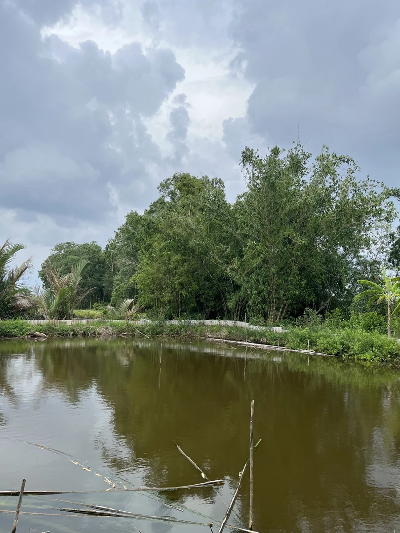 Du Thuyền Bắt Cua Riêng Tư